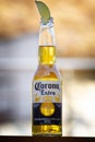 Corona Extra on bright background